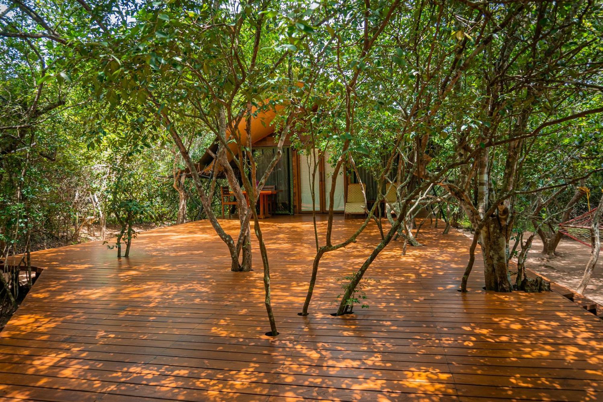 Leopard Reach Yala By Seven Angels Hotel Tissamaharama Eksteriør billede